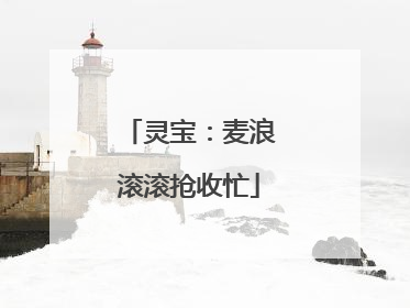 灵宝：麦浪滚滚抢收忙
