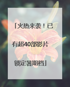 火热来袭！已有超40部影片锁定暑期档