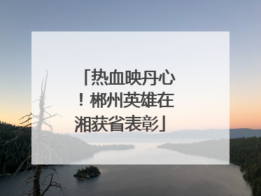 热血映丹心！郴州英雄在湘获省表彰