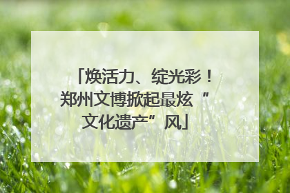 焕活力、绽光彩！郑州文博掀起最炫“文化遗产”风