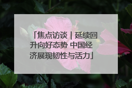 焦点访谈｜延续回升向好态势 中国经济展现韧性与活力