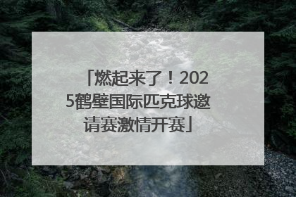 燃起来了！2025鹤壁国际匹克球邀请赛激情开赛