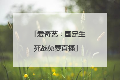 爱奇艺：国足生死战免费直播