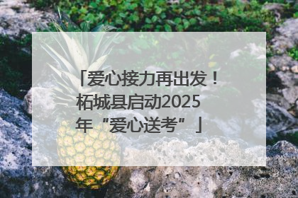 爱心接力再出发！柘城县启动2025年“爱心送考”