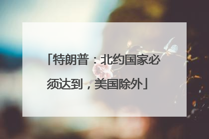特朗普：北约国家必须达到，美国除外