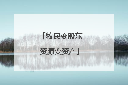 牧民变股东 资源变资产