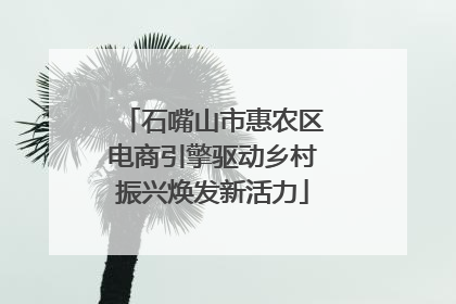 石嘴山市惠农区电商引擎驱动乡村振兴焕发新活力