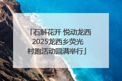 石斛花开 悦动龙西 2025龙西乡荧光村跑活动圆满举行