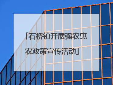 石桥镇开展强农惠农政策宣传活动
