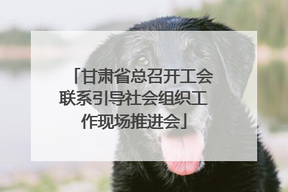 甘肃省总召开工会联系引导社会组织工作现场推进会