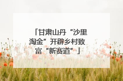甘肃山丹“沙里淘金”开辟乡村致富“新赛道”
