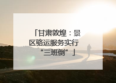 甘肃敦煌：景区骆运服务实行“三班倒”