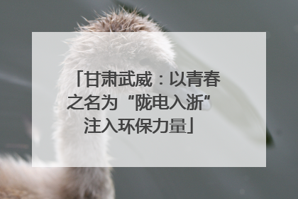 甘肃武威：以青春之名为“陇电入浙”注入环保力量