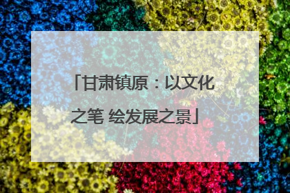 甘肃镇原：以文化之笔 绘发展之景
