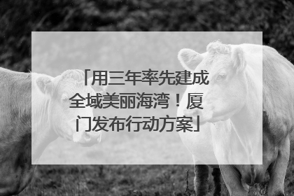 用三年率先建成全域美丽海湾！厦门发布行动方案