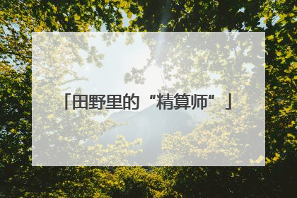田野里的“精算师”