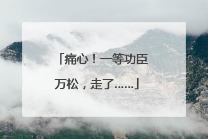 痛心！一等功臣万松，走了……