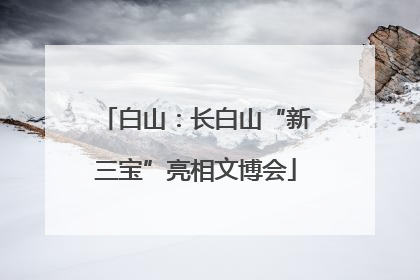 白山：长白山“新三宝”亮相文博会