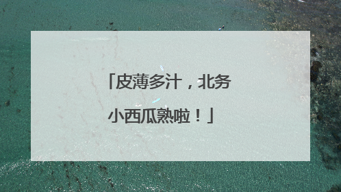 皮薄多汁，北务小西瓜熟啦！