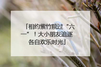 相约紫竹院过“六一”！大小朋友追逐各自欢乐时光