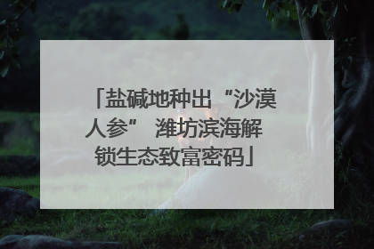 盐碱地种出“沙漠人参” 潍坊滨海解锁生态致富密码