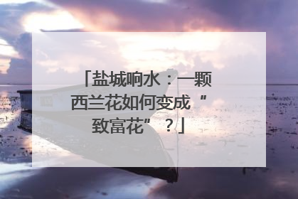 盐城响水：一颗西兰花如何变成“致富花”？