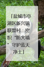 盐城市亭湖区新兴镇联盟村：密织“防火墙”守护蓝天净土