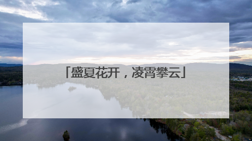 盛夏花开，凌霄攀云