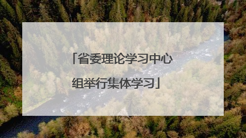 省委理论学习中心组举行集体学习
