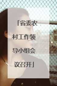 省委农村工作领导小组会议召开