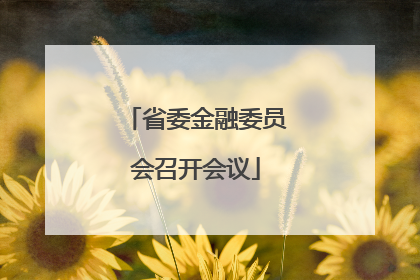 省委金融委员会召开会议