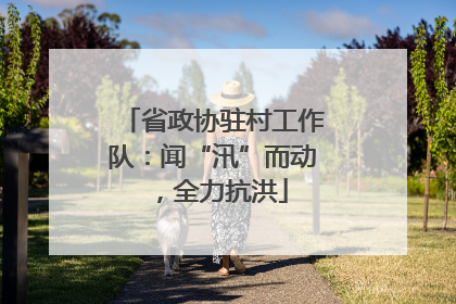 省政协驻村工作队：闻“汛”而动，全力抗洪