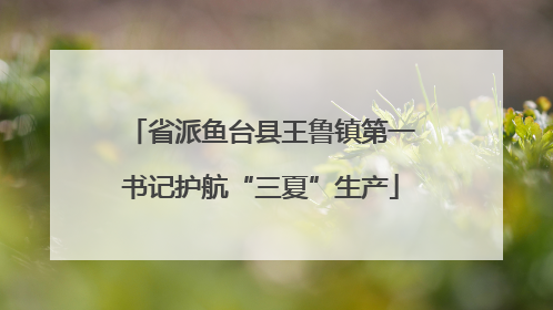 省派鱼台县王鲁镇第一书记护航“三夏”生产