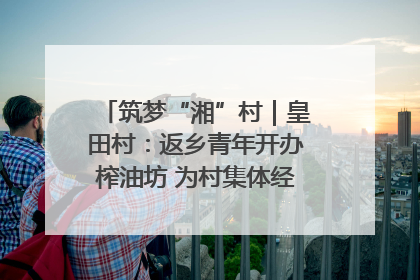 筑梦“湘”村｜皇田村：返乡青年开办榨油坊 为村集体经济“加油”