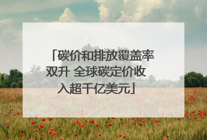 碳价和排放覆盖率双升 全球碳定价收入超千亿美元