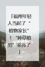 福州年轻人当起了“植物家长”！“种草植男”家亮了
