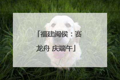福建闽侯：赛龙舟 庆端午