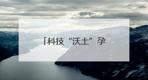 科技“沃土”孕育油菜“金种”