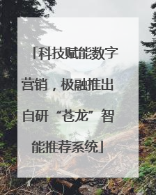 科技赋能数字营销，极融推出自研“苍龙”智能推荐系统