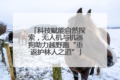 科技赋能自然探索，无人机与机器狗助力越野跑“重返护林人之道”