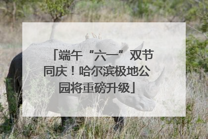 端午“六一”双节同庆！哈尔滨极地公园将重磅升级