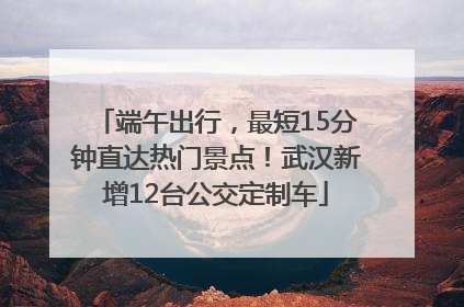 端午出行，最短15分钟直达热门景点！武汉新增12台公交定制车