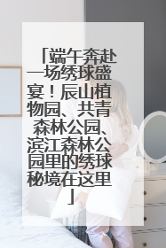 端午奔赴一场绣球盛宴！辰山植物园、共青森林公园、滨江森林公园里的绣球秘境在这里