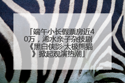 端午小长假票房近40万，浠水亲子杂技剧《黑白侠影·太极熊猫》掀起观演热潮