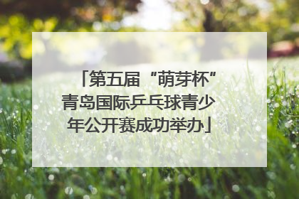 第五届“萌芽杯”青岛国际乒乓球青少年公开赛成功举办