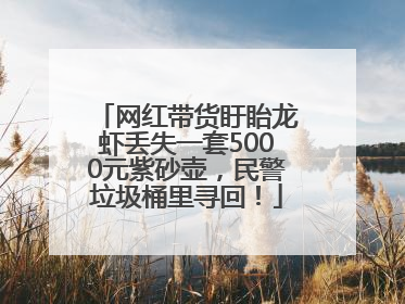 网红带货盱眙龙虾丢失一套5000元紫砂壶，民警垃圾桶里寻回！