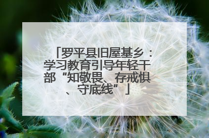 罗平县旧屋基乡：学习教育引导年轻干部“知敬畏、存戒惧、守底线”
