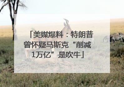 美媒爆料：特朗普曾怀疑马斯克“削减1万亿”是吹牛