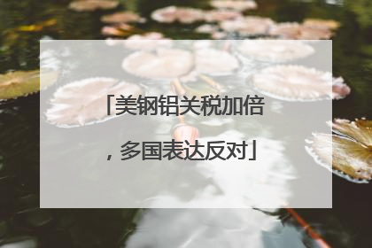 美钢铝关税加倍，多国表达反对