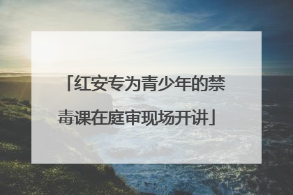 红安专为青少年的禁毒课在庭审现场开讲